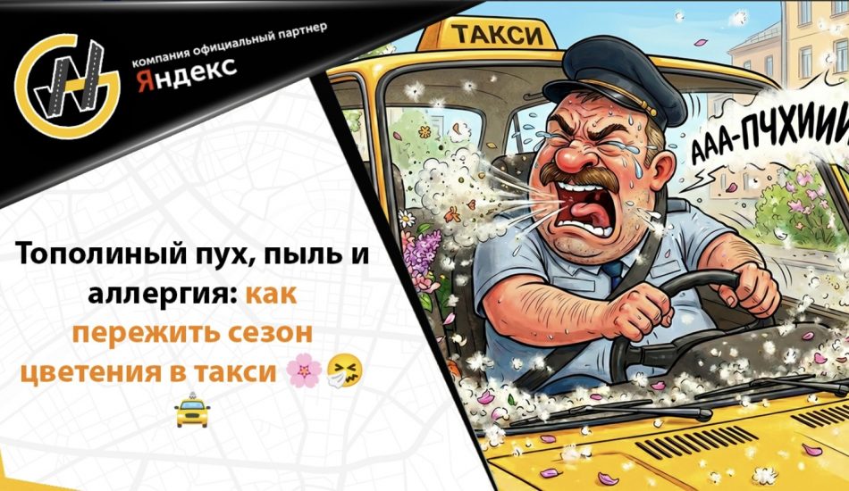 Тополиный пух в такси — как защитить салон и пассажиров от аллергии